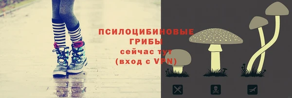 экстази Дмитровск