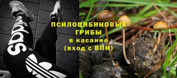 хмурый Дмитриев