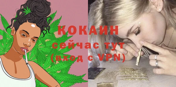 хмурый Дмитриев