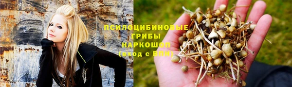 хмурый Дмитриев