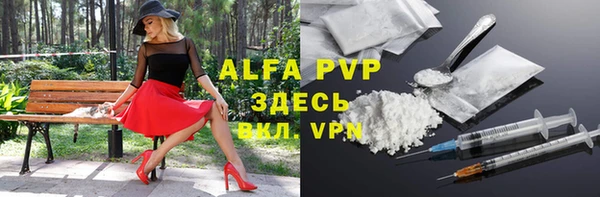 хмурый Дмитриев
