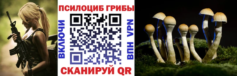 Купить  Спасск-Рязанский  Псилоцибиновые грибы GOLDEN TEACHER 